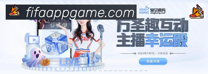 未来规划